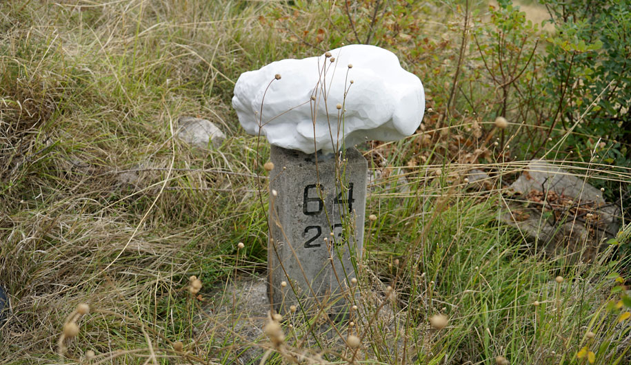 dobi