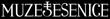 Muzej-Logo