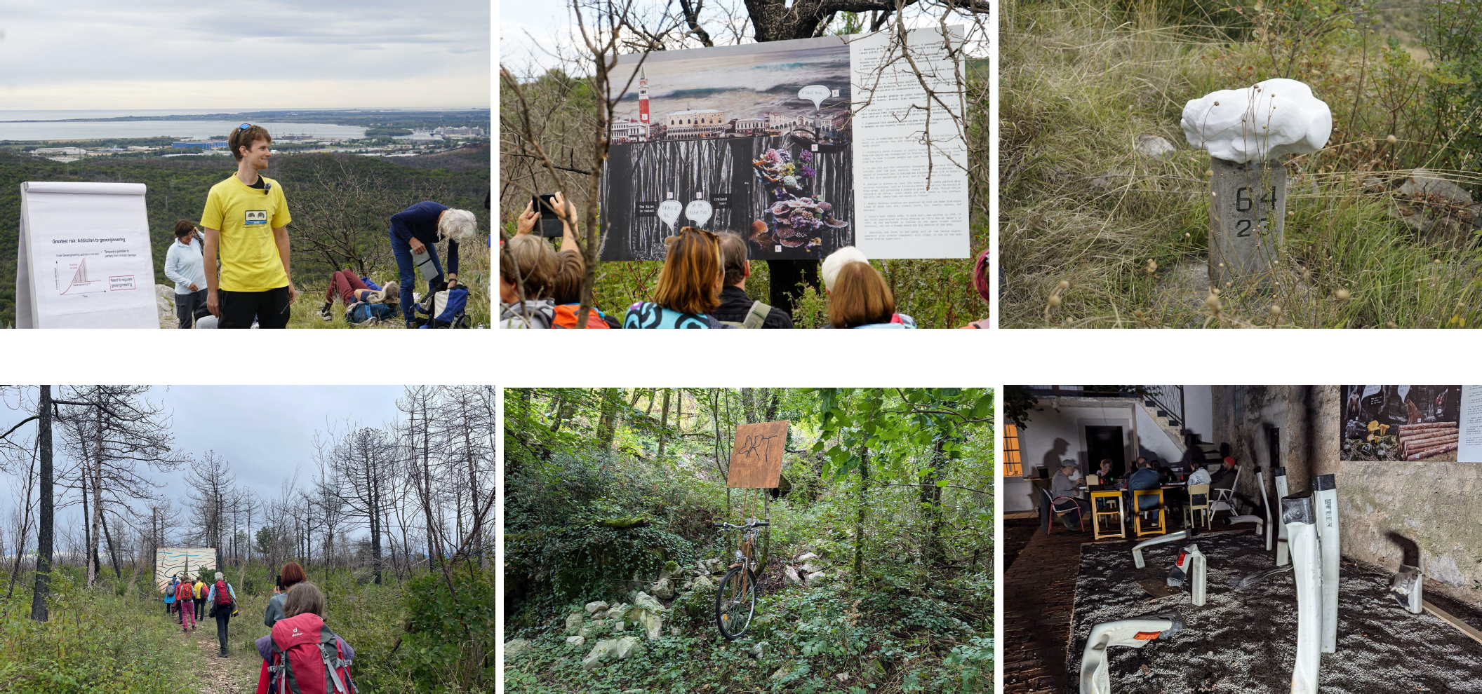 Banner für „Gute Eichen im Karst • Dobri dobi na Krasu“