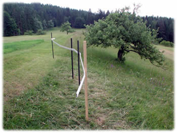 Gelaender